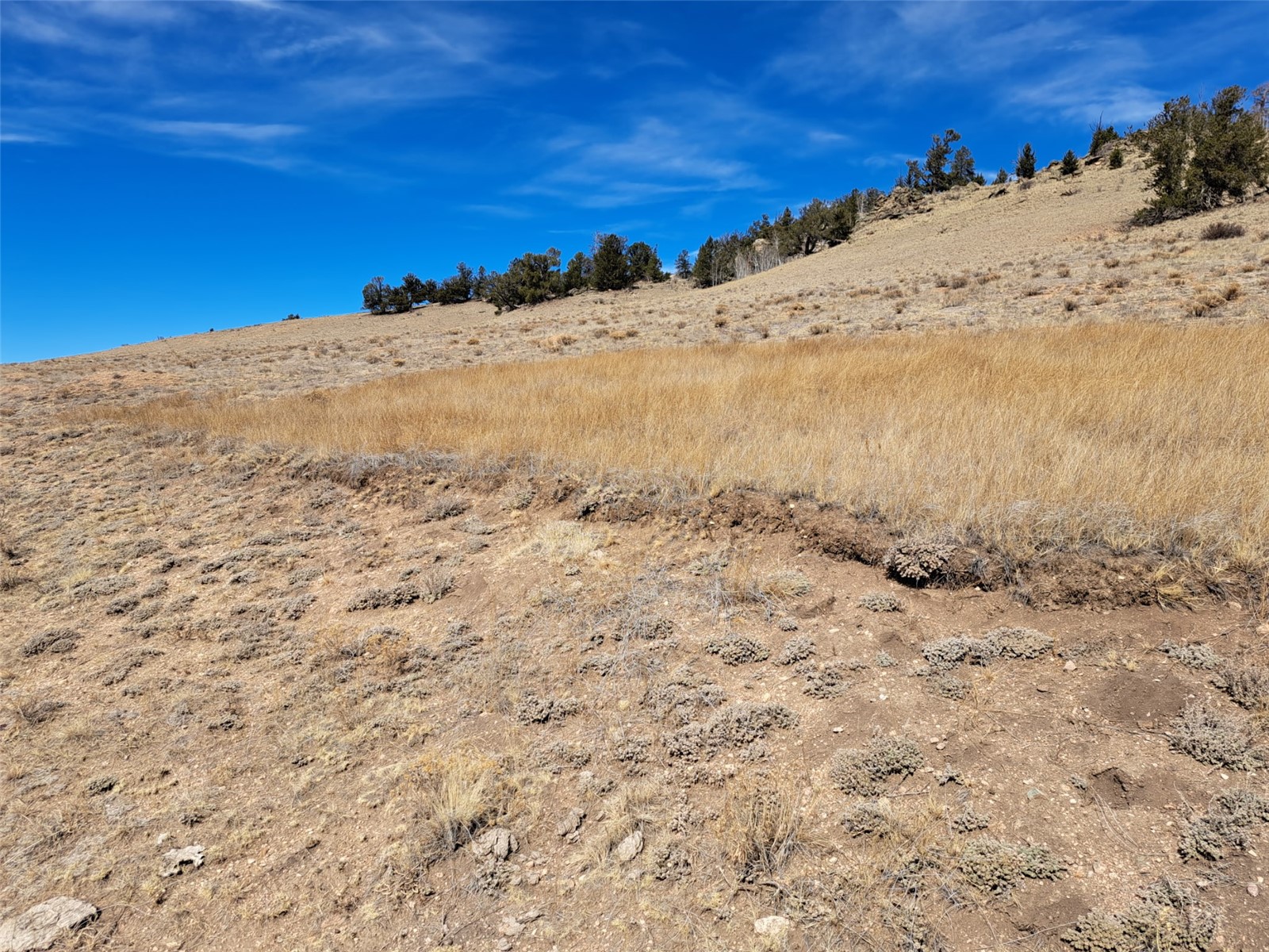 3646 Remington Road Como, CO 80456 - Photo 2 of 19