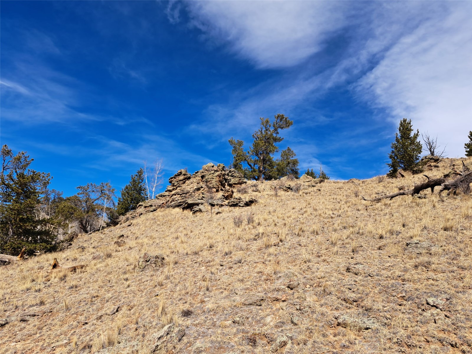 3646 Remington Road Como, CO 80456 - Photo 3 of 19