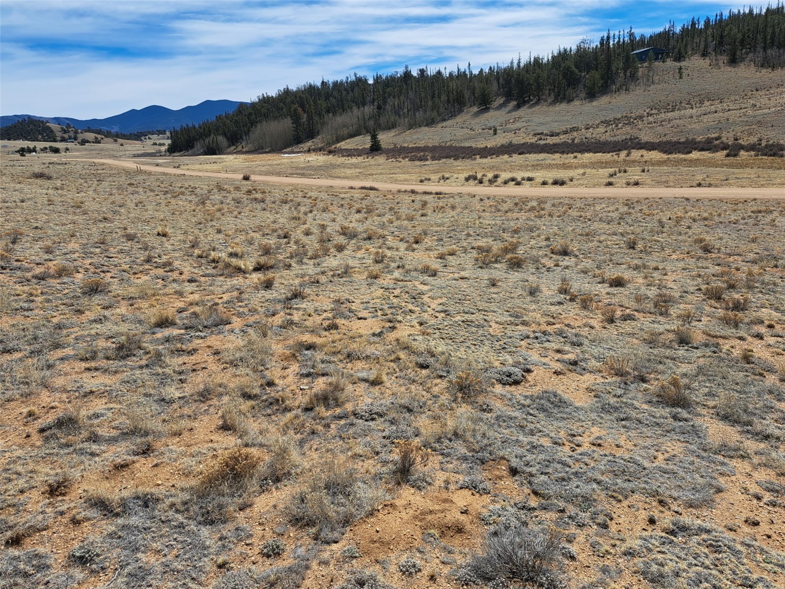 3646 Remington Road Como, CO 80456 - Photo 4 of 19