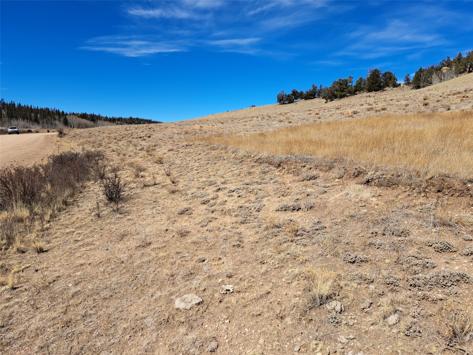 3646 Remington Road Como, CO 80456 - Photo 5 of 19