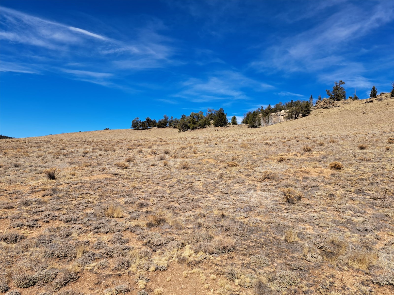 3646 Remington Road Como, CO 80456 - Photo 6 of 19