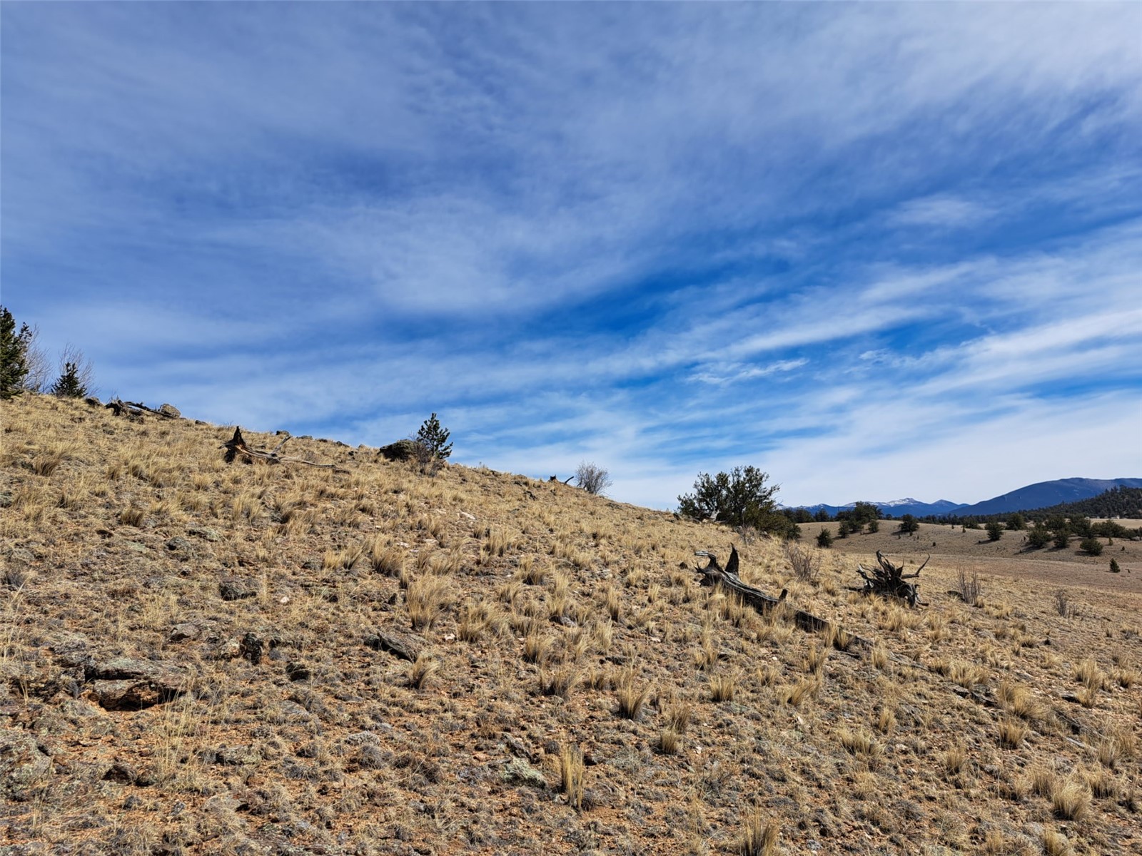 3646 Remington Road Como, CO 80456 - Photo 7 of 19