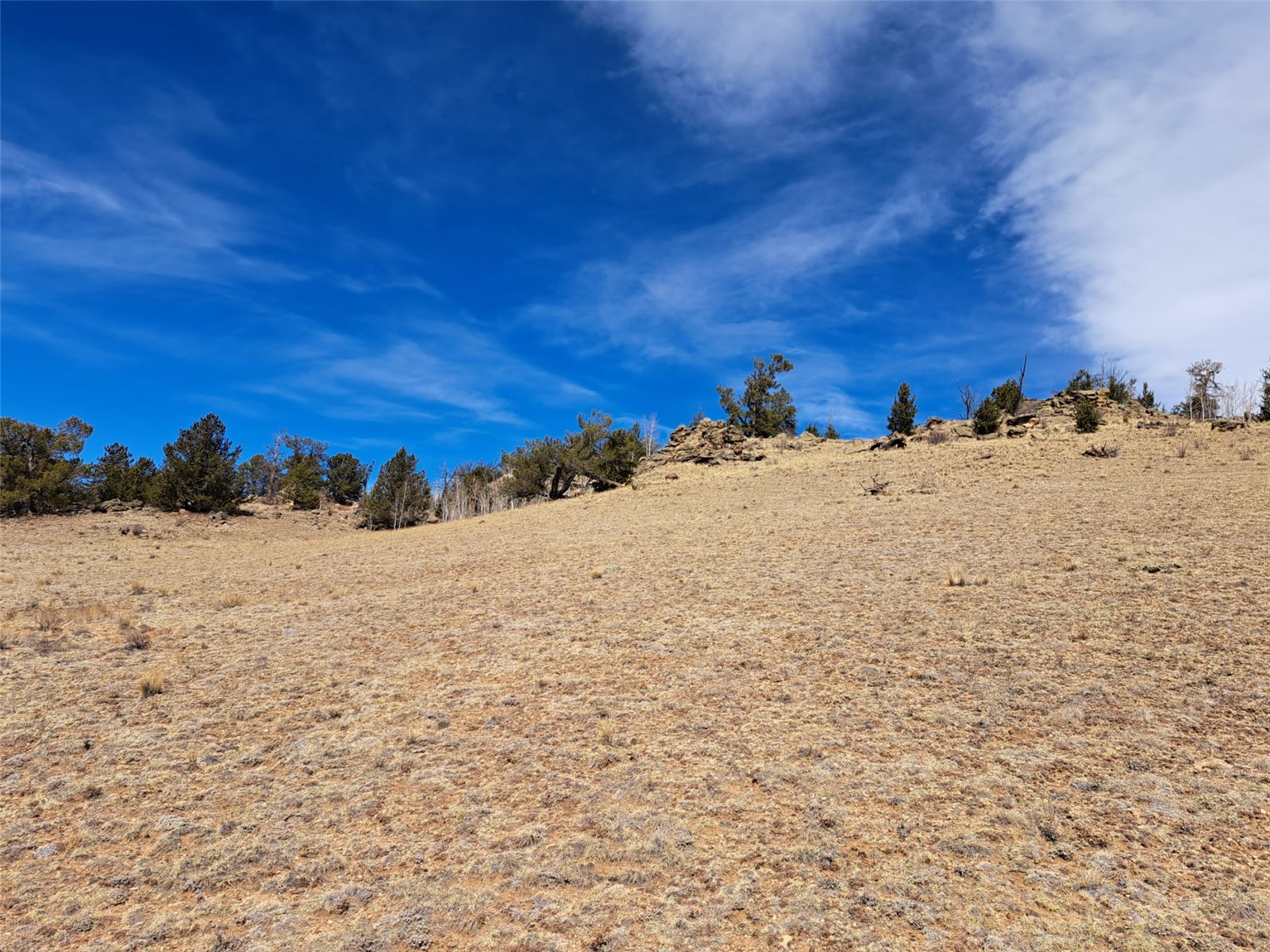 3646 Remington Road Como, CO 80456 - Photo 8 of 19