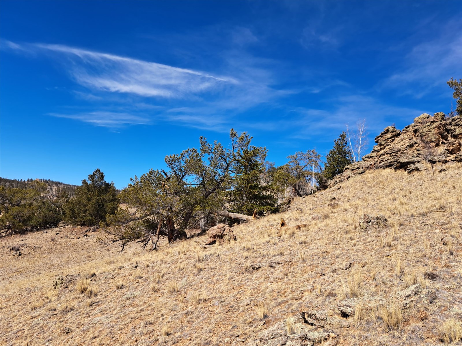 3646 Remington Road Como, CO 80456 - Photo 9 of 19