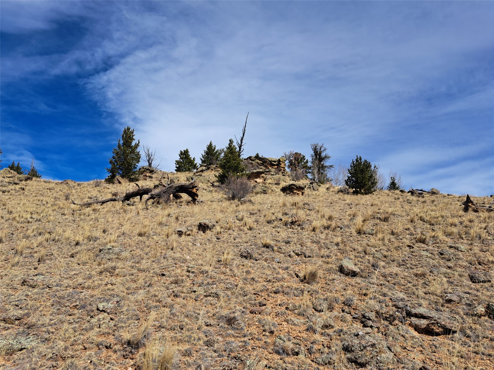 3646 Remington Road Como, CO 80456 - Photo 10 of 19