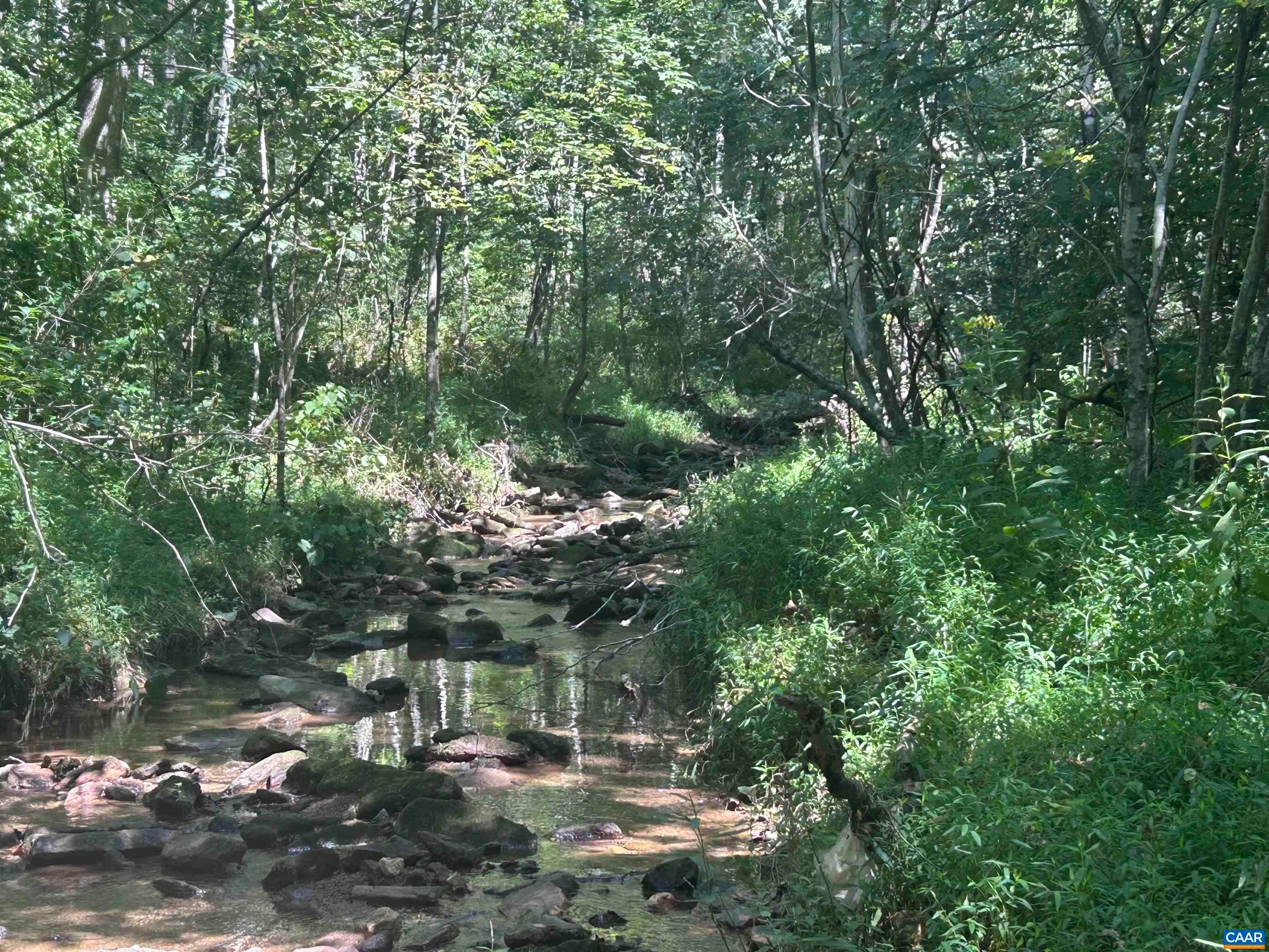 301 Dulaney Mountain Road Madison, VA 22719 - Photo 27 of 28 Gallery Image 27