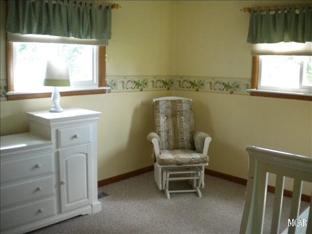 8051 Blue Bush Road Maybee, MI 48159 - Photo 5 of 17 20018618-4.JPG