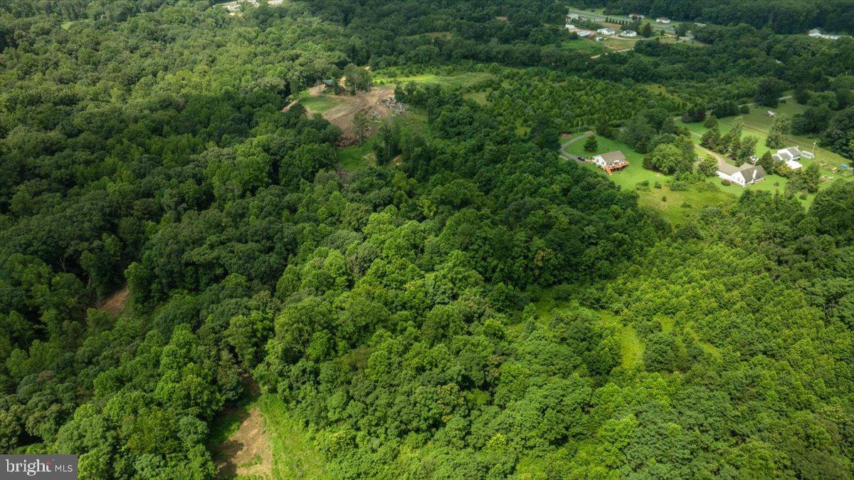 Lot F Jones Place King George, VA 22485 - Photo 13 of 24