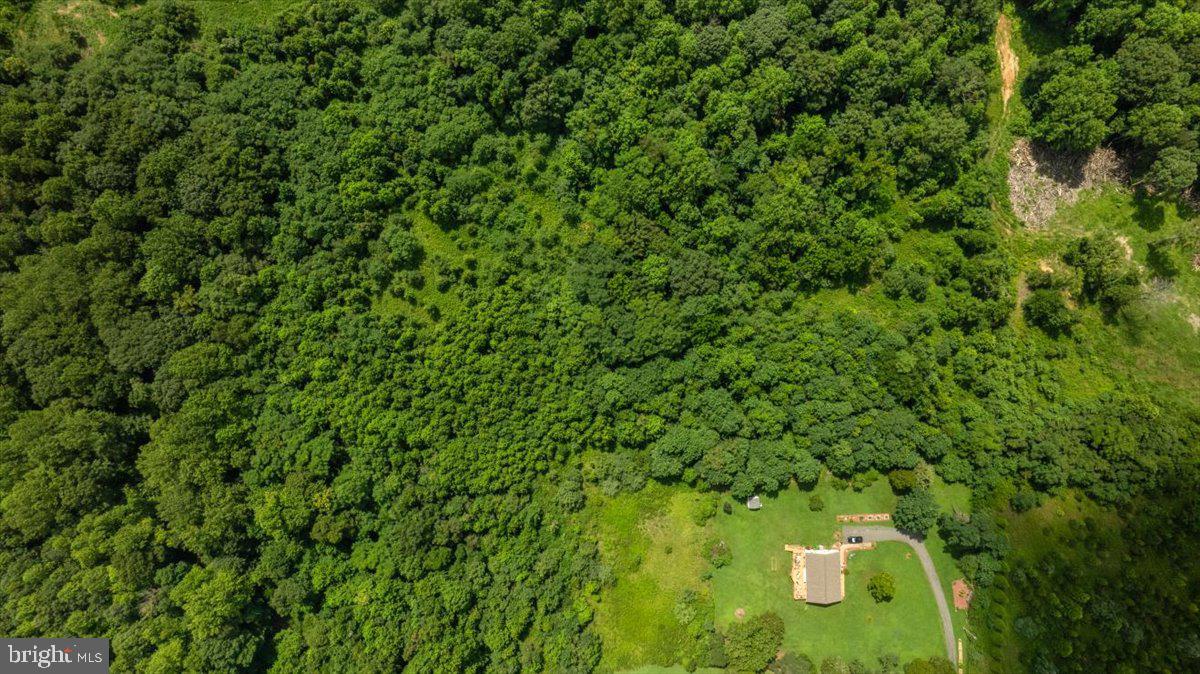 Lot F Jones Place King George, VA 22485 - Photo 19 of 24