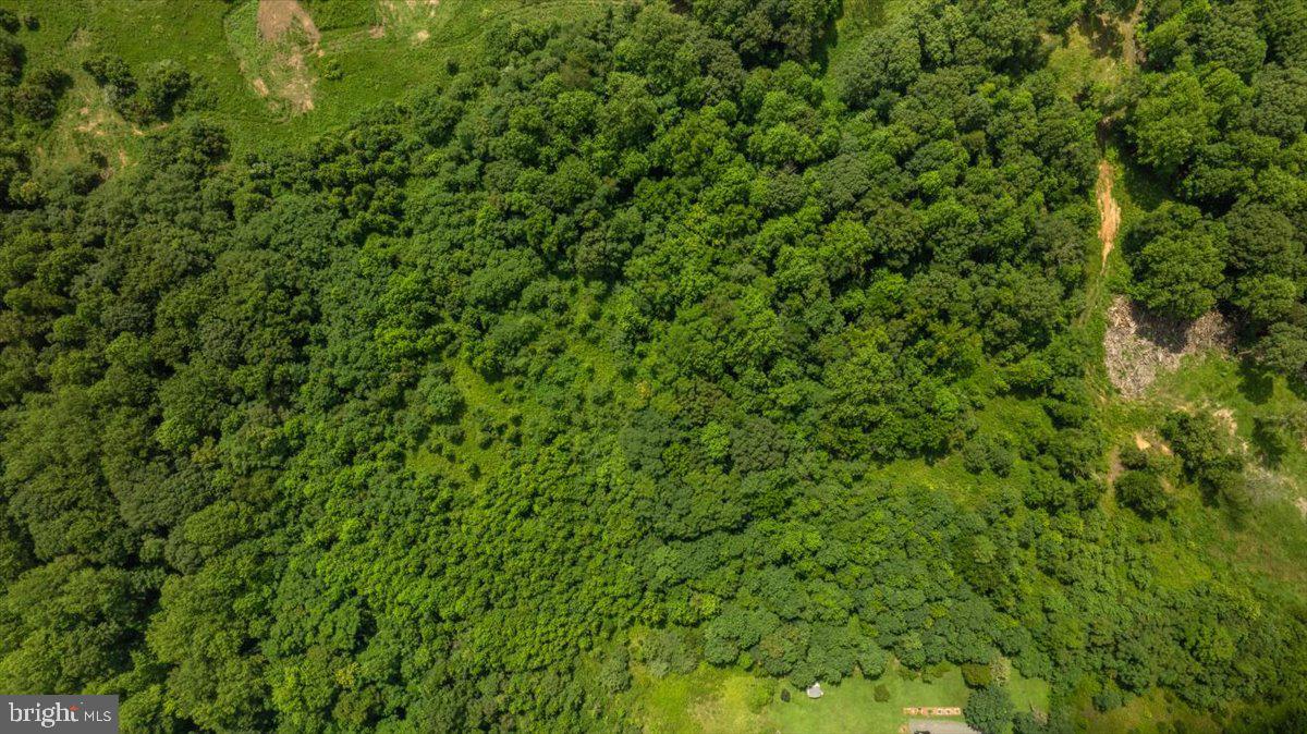 Lot F Jones Place King George, VA 22485 - Photo 20 of 24