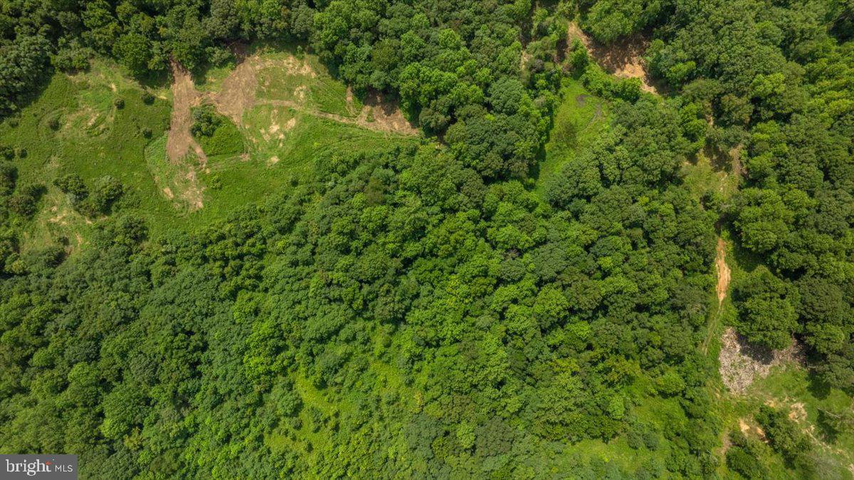 Lot F Jones Place King George, VA 22485 - Photo 21 of 24