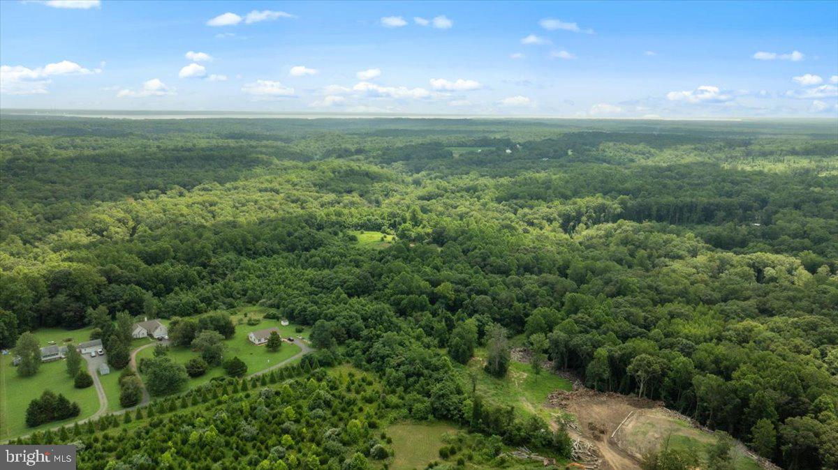 Lot F Jones Place King George, VA 22485 - Photo 4 of 24