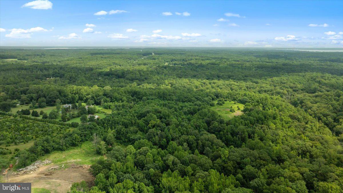 Lot F Jones Place King George, VA 22485 - Photo 7 of 24