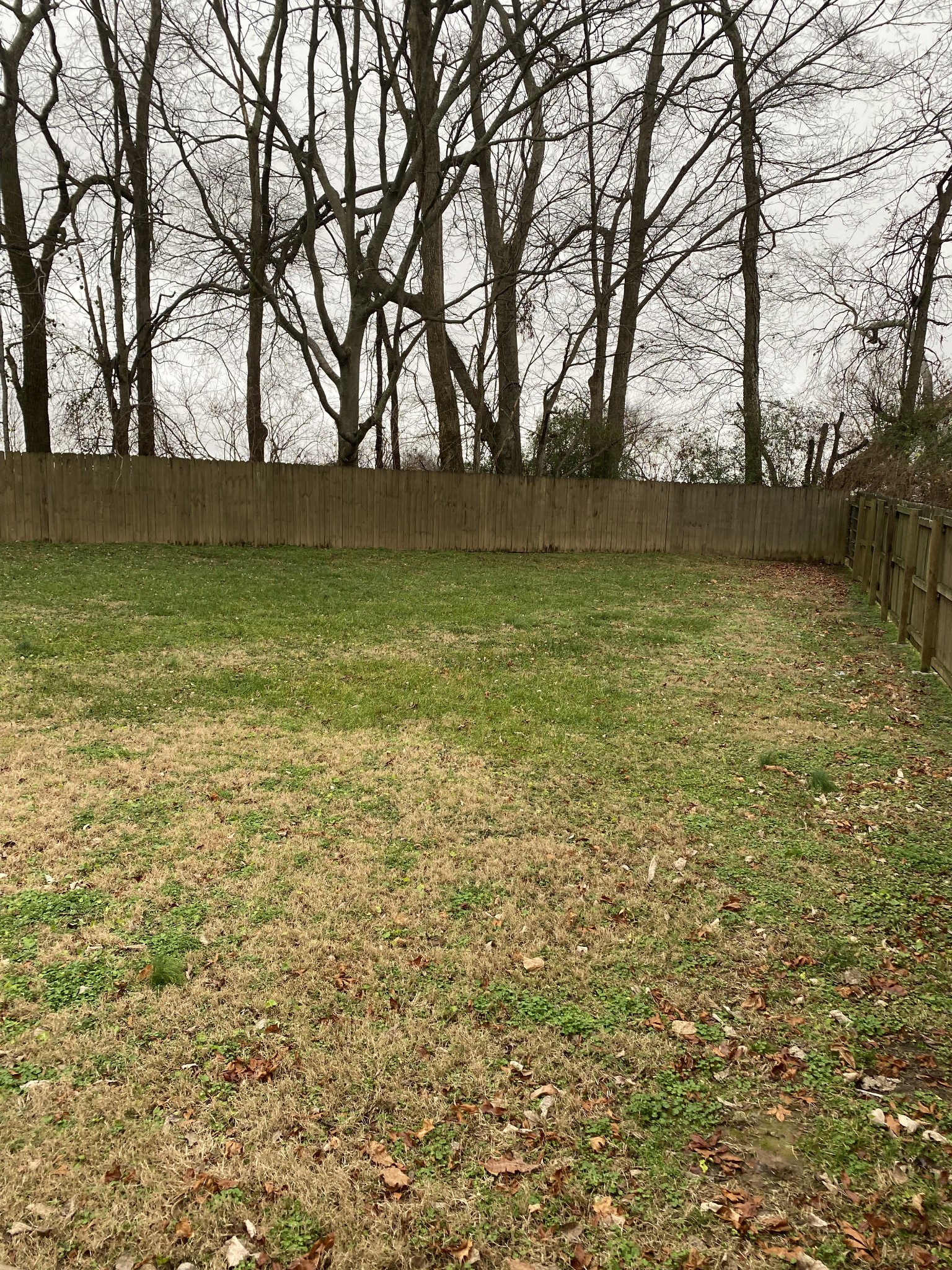 1931 Cairo Road Gallatin, TN 37066 - Photo 27 of 27 Gallery Image 27