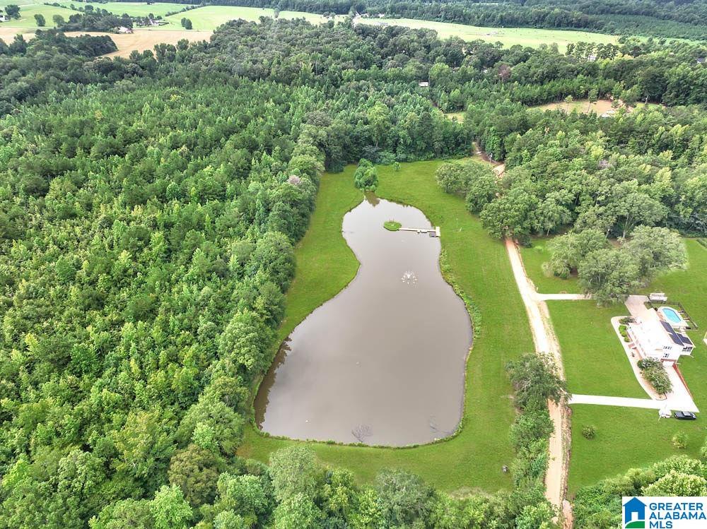 263 County Road 433 Clanton, AL 35045 - Photo 4 of 48