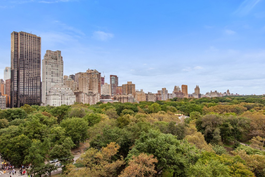 160 Central Park South, Unit 1201 Manhattan, NY 10019 - Photo 2 of 20 a view of a city
