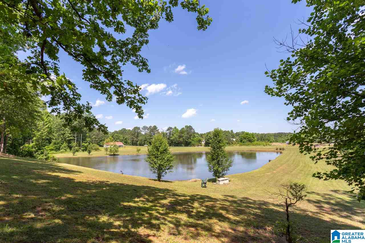 6674 Highway 431 Heflin, AL 36264 - Photo 2 of 50