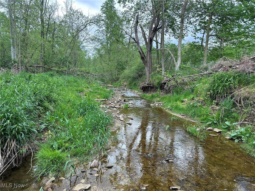 9602 Munson Road Wooster, OH 44691 - Photo 3 of 45 View of local wilderness