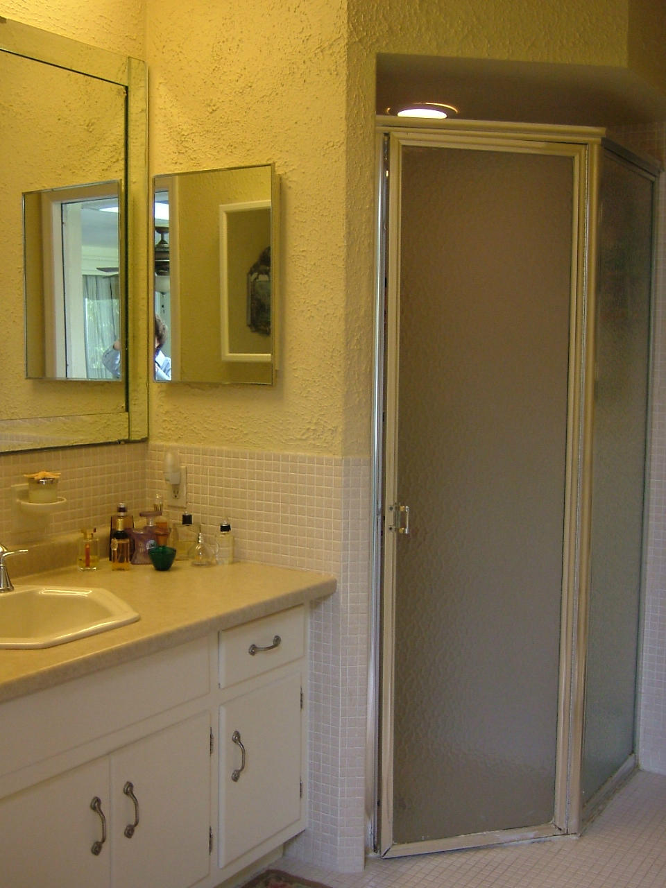 773 Apple Tree Lane Boca Raton, FL 33486 - Photo 16 of 25 MASTER BATH