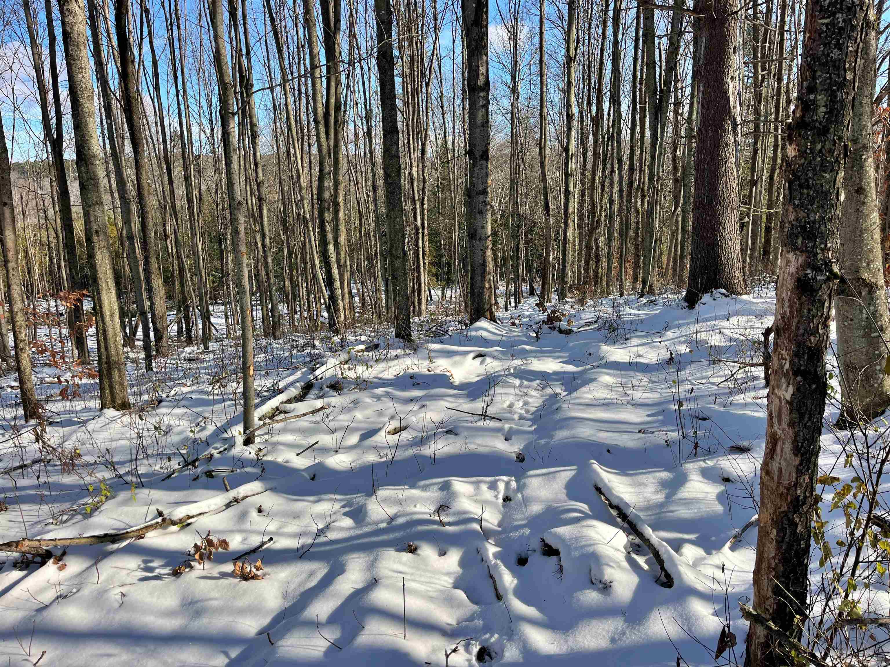 1 Duck Pond Road, Unit LOT #1 Barton, VT 05822 - Photo 2 of 6