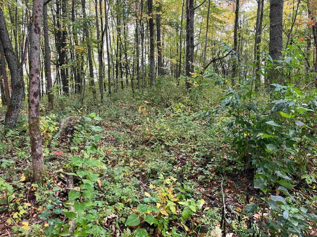 $41,900 | 1 Duck Pond Road, Unit LOT #1, Barton, VT 05822