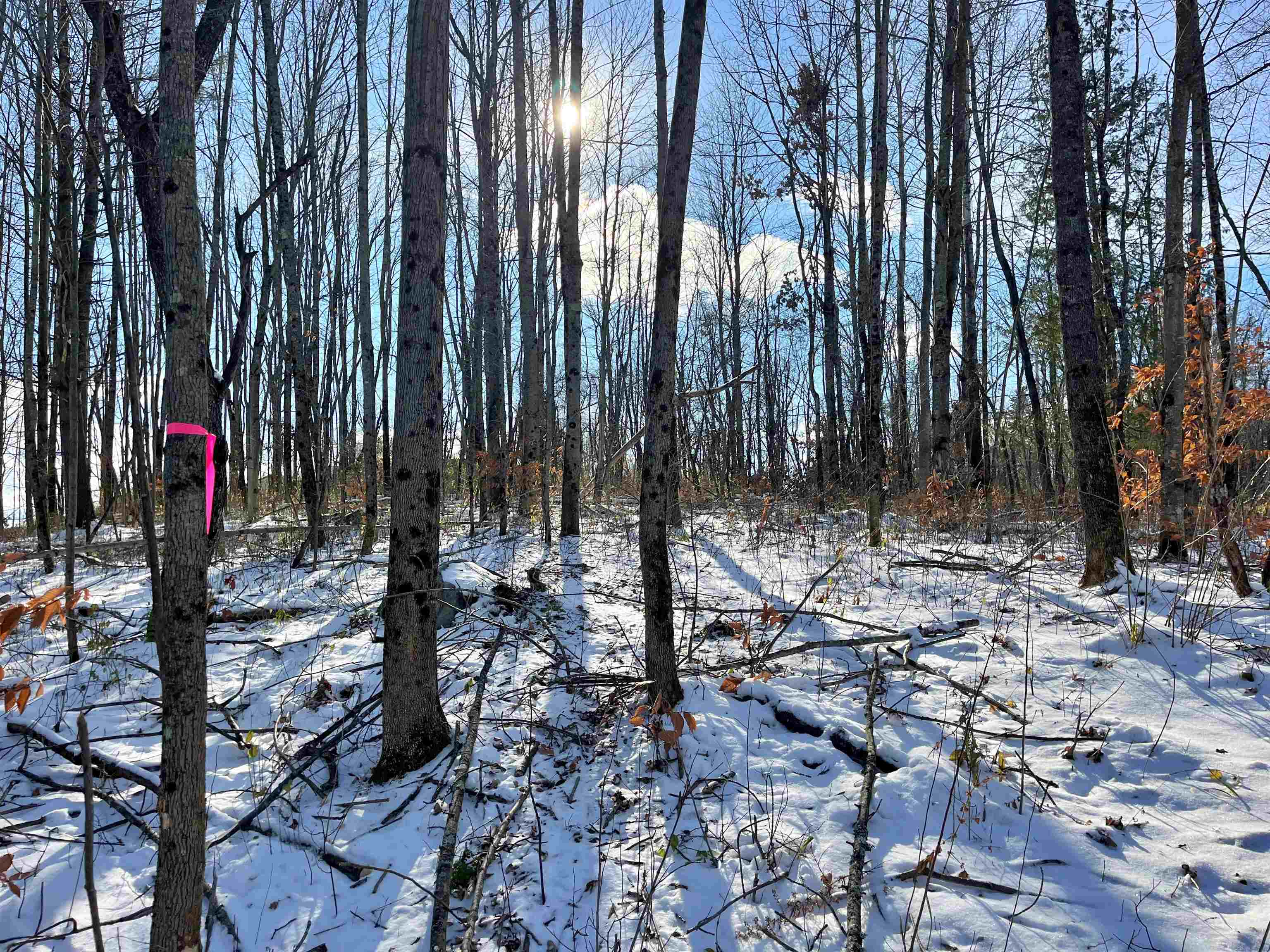 1 Duck Pond Road, Unit LOT #1 Barton, VT 05822 - Photo 3 of 6