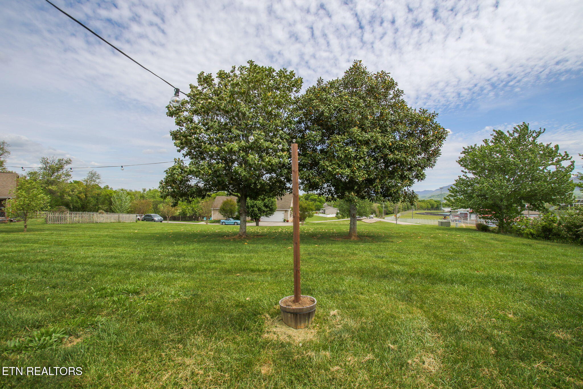 3909 Tuckaleechee Pike Maryville, TN 37804 - Photo 7 of 37 Yard Magnolia Trees