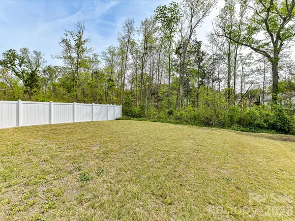 a view of a big yard with trees
