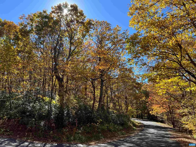 a view of a flower in a garden