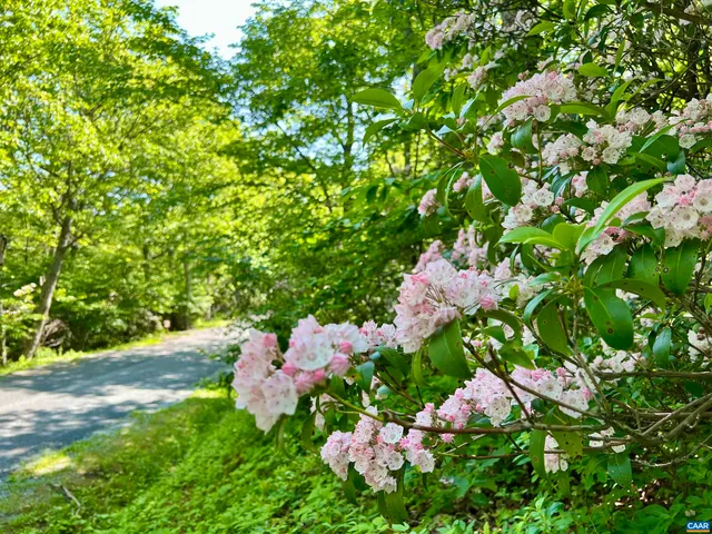 a close up of a sink