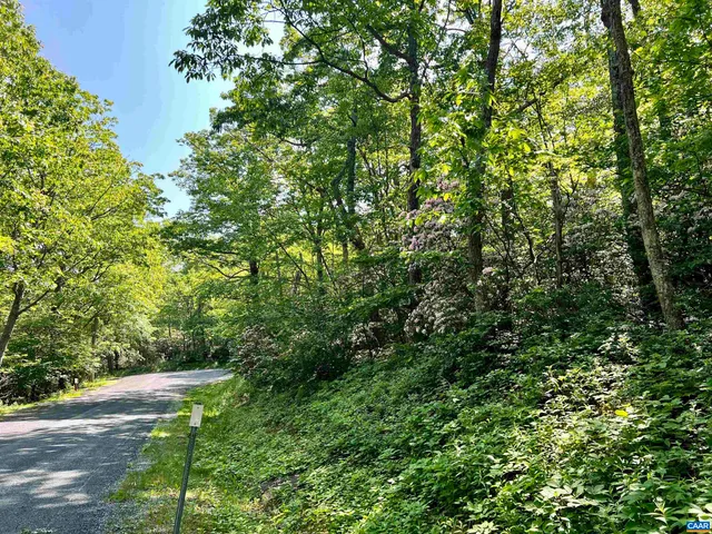a view of a yard with a tree