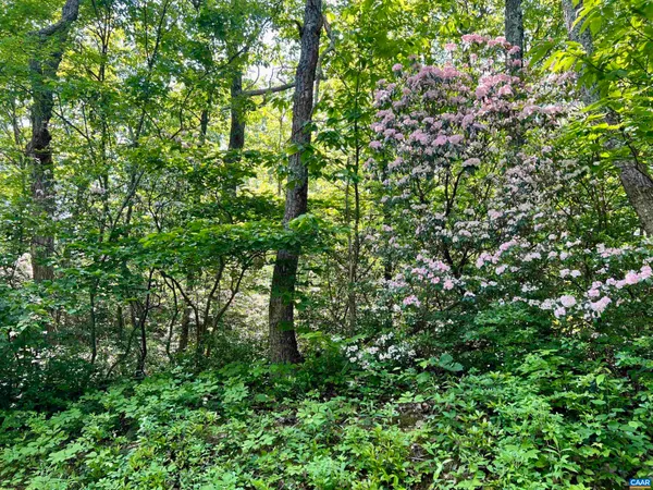 a view of a bed with a wall painting on it