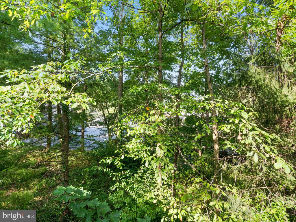 1502 Scandia Circle Reston, VA 20190 - Photo 40 of 42 Private Backyard