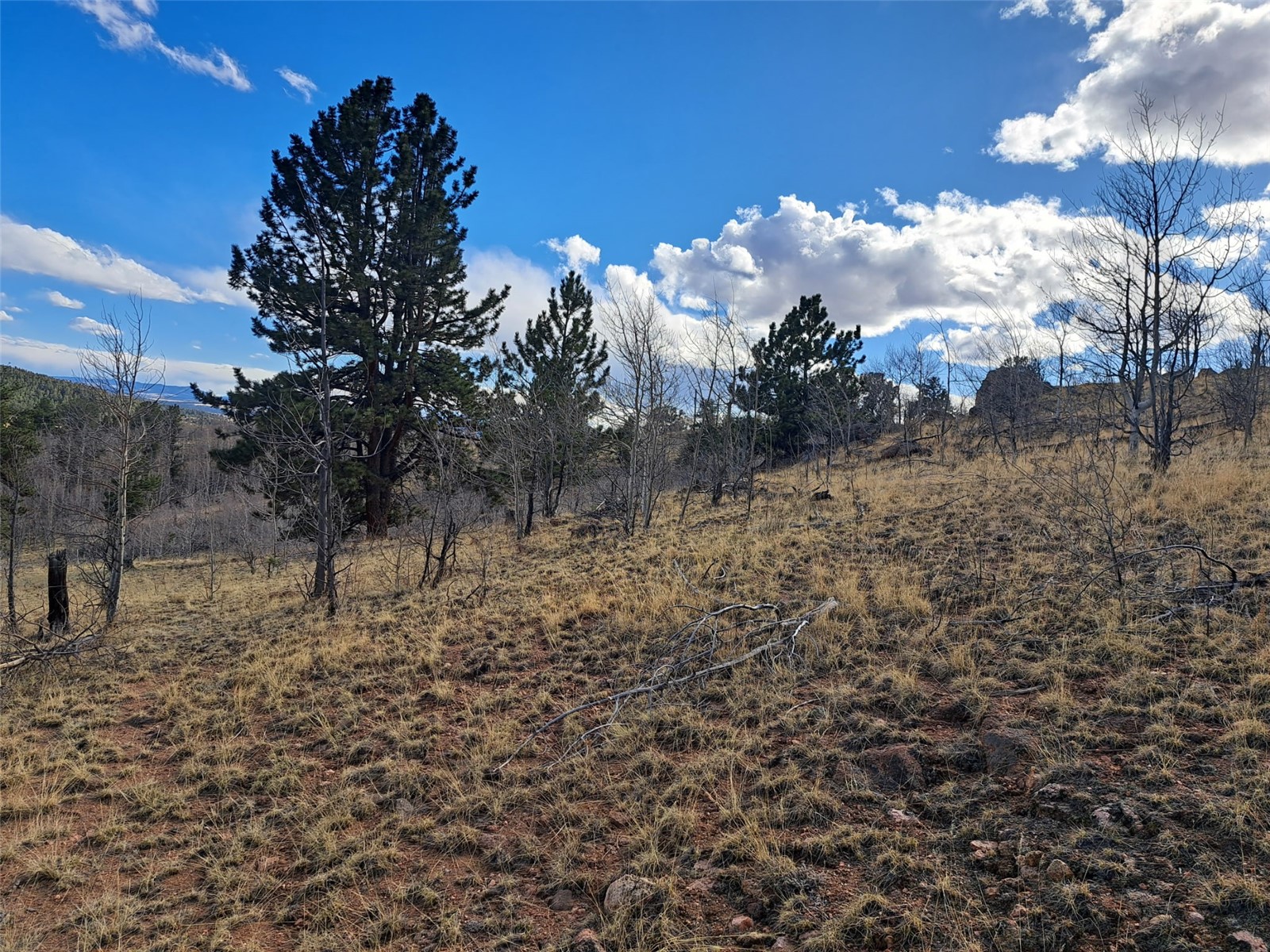 908 Raven Way Como, CO 80432 - Photo 8 of 29