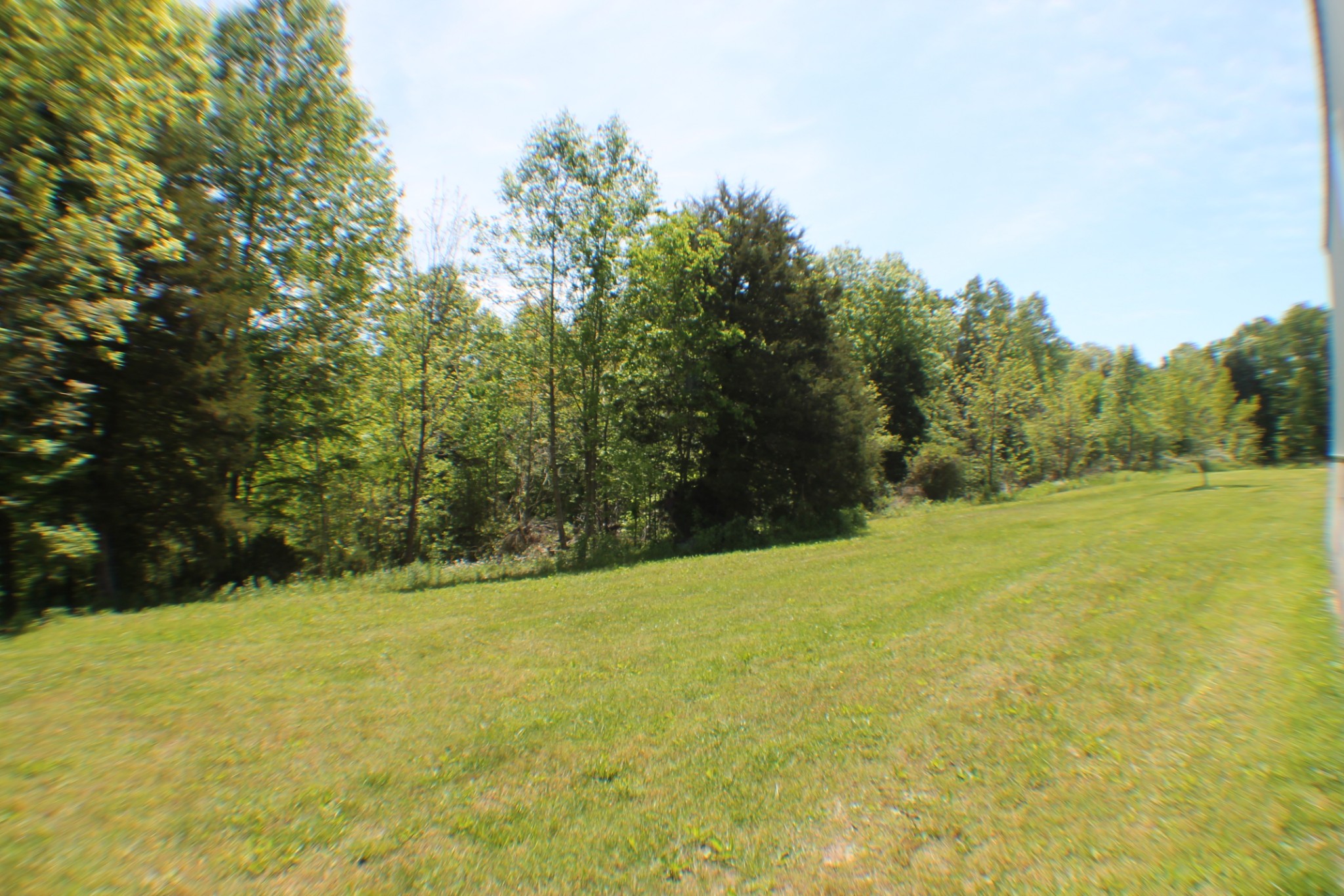 985 Archer Road Lafayette, TN 37083 - Photo 19 of 26 a view of a field with trees in the background