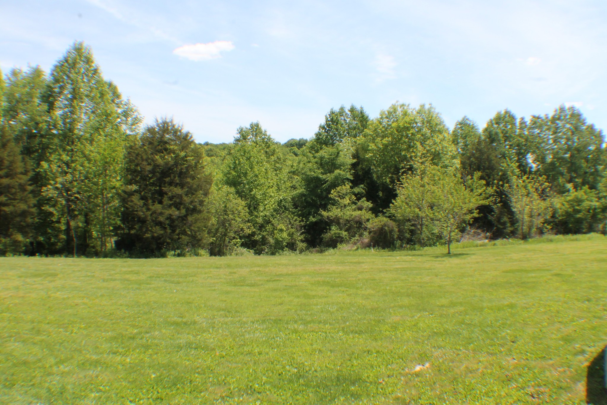 985 Archer Road Lafayette, TN 37083 - Photo 25 of 26 a view of a grassy field with trees in the background