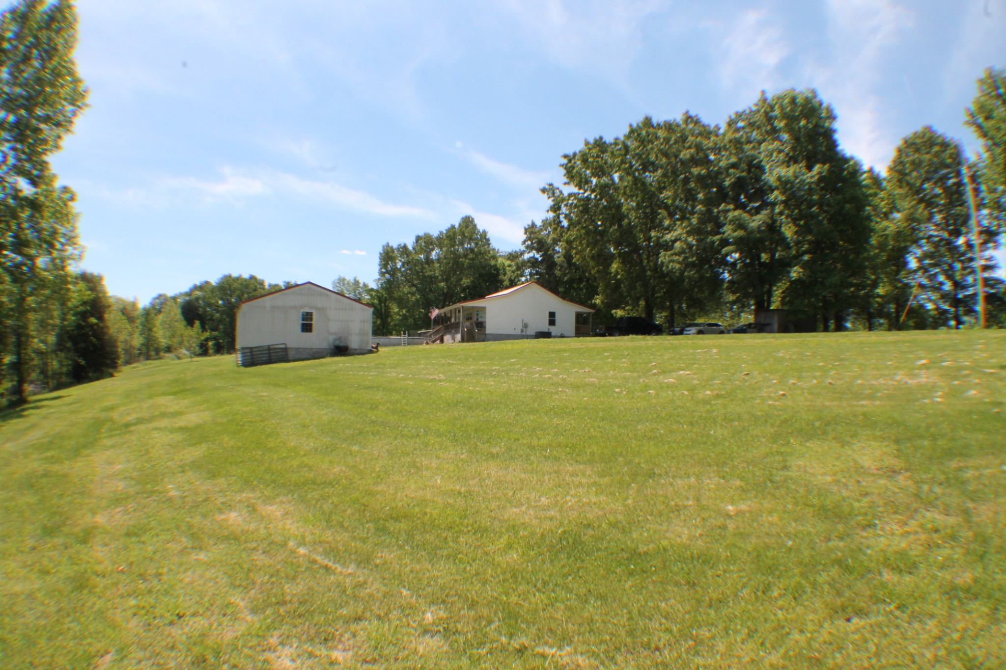985 Archer Road Lafayette, TN 37083 - Photo 26 of 26 a view of a big yard with large trees