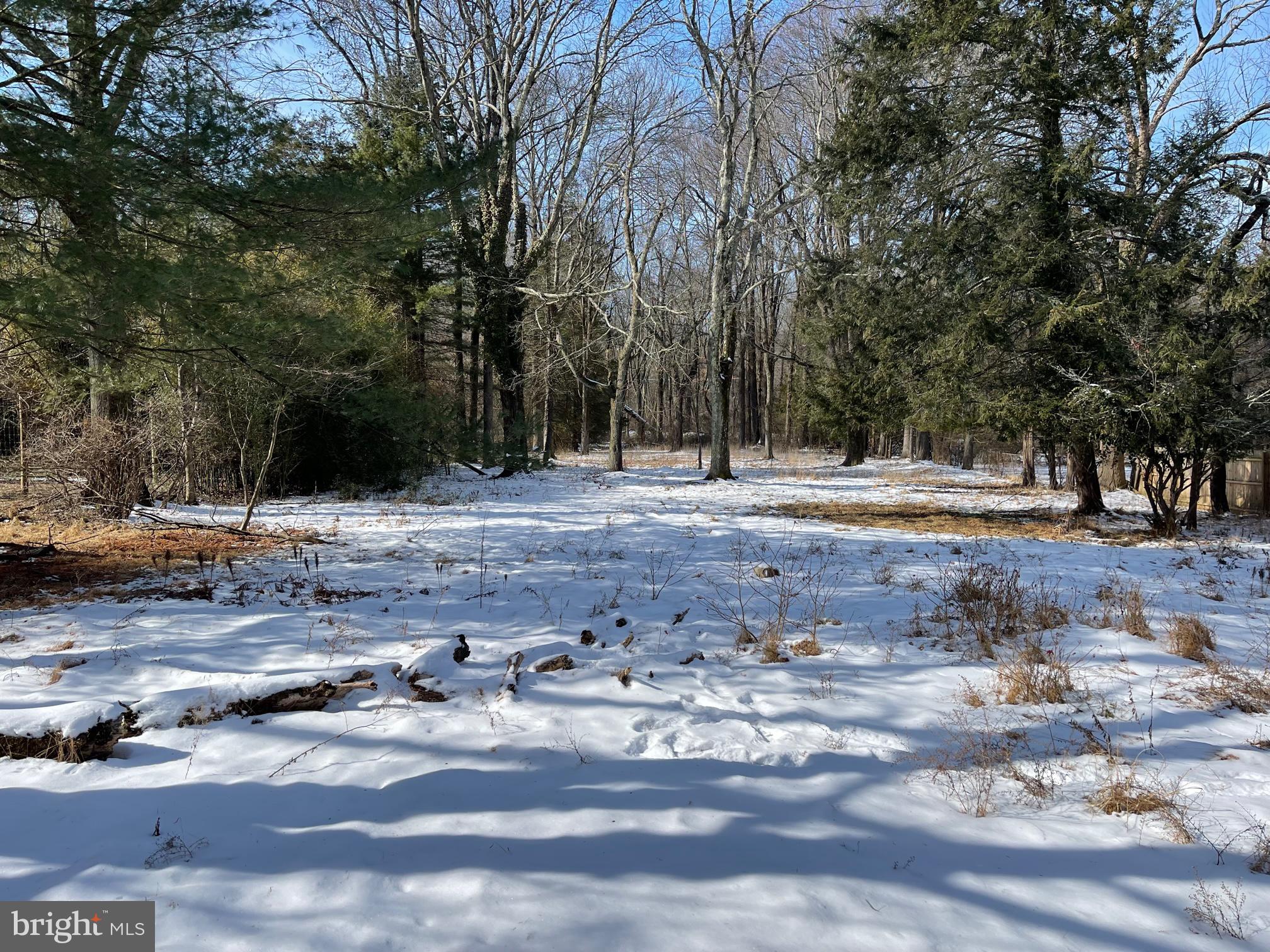 147 Carter Road Princeton, NJ 08540 - Photo 5 of 9
