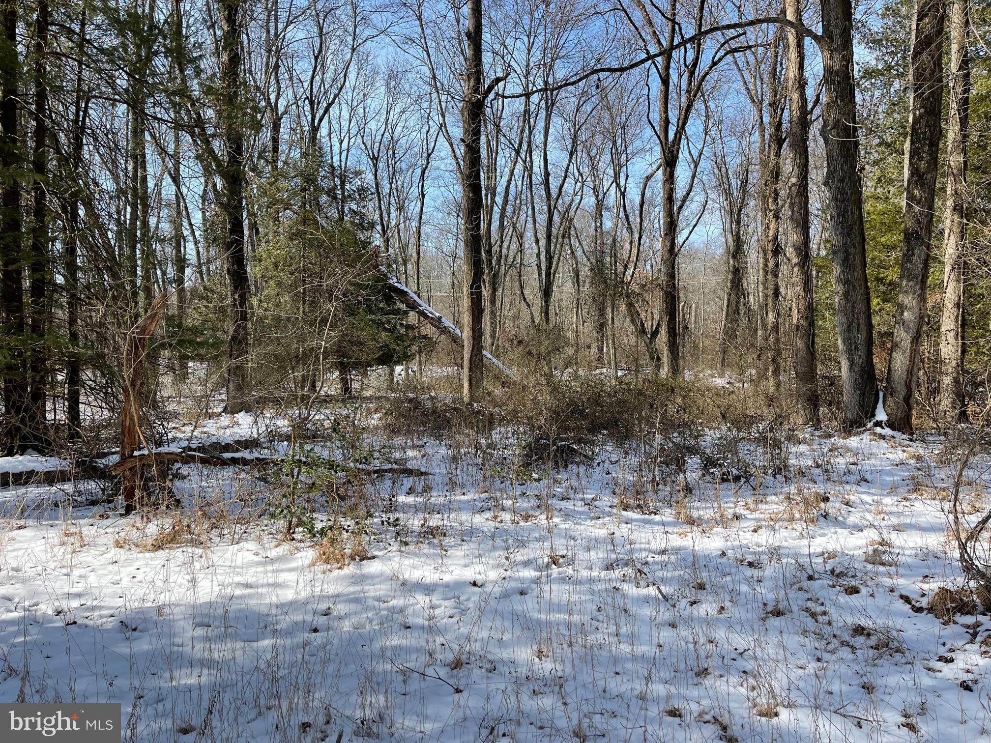 147 Carter Road Princeton, NJ 08540 - Photo 8 of 9