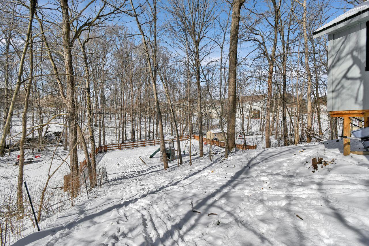 433 Barrington Ridge Pataskala, OH 43062 - Photo 46 of 51 DSC_2982
