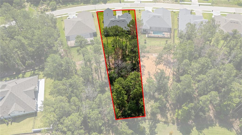 3926 Southern Valley Loop Brooksville, FL 34601 - Photo 54 of 57