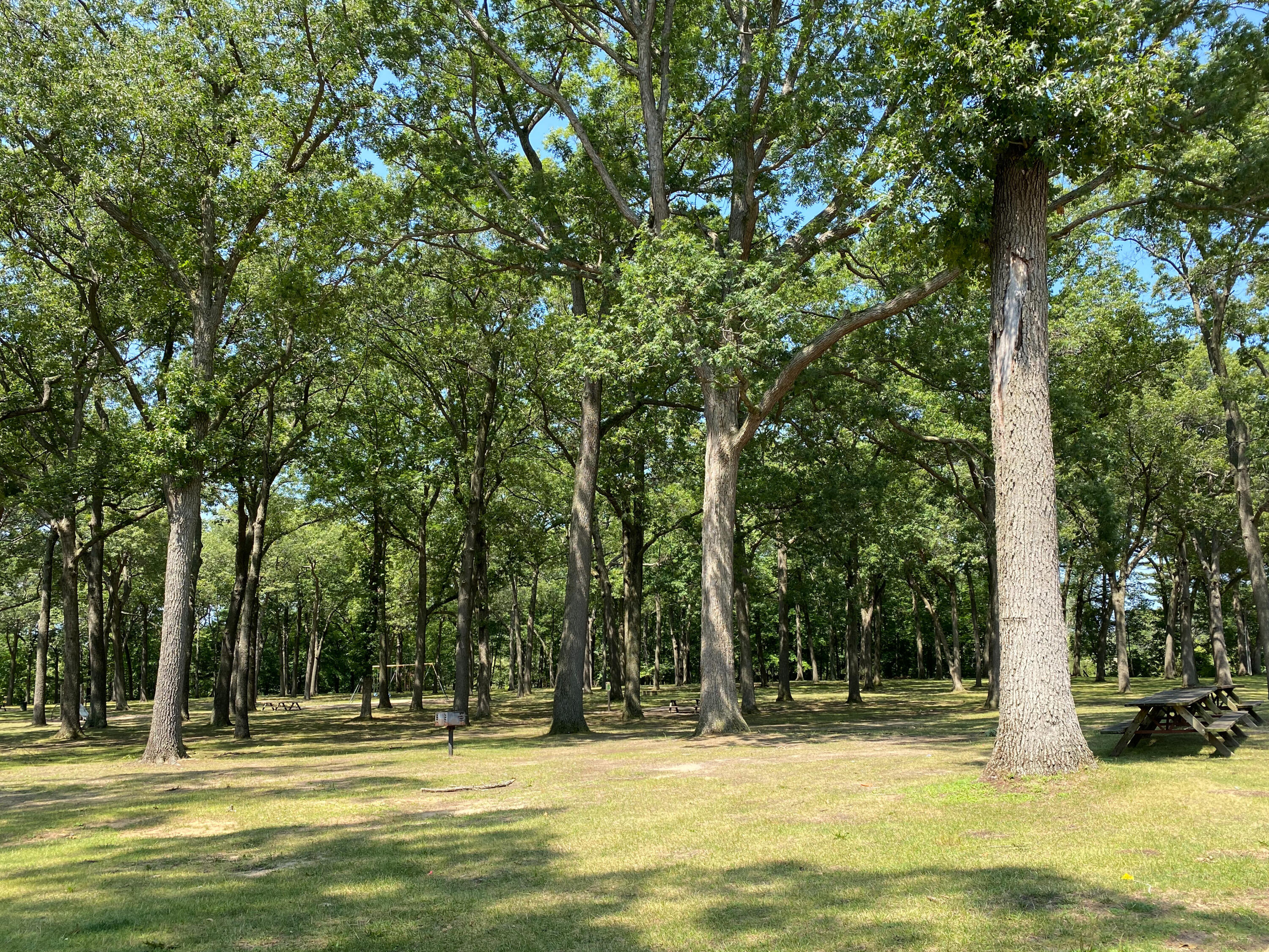 1441 Ridge Avenue Muskegon, MI 49441 - Photo 34 of 34 IMG_0939
