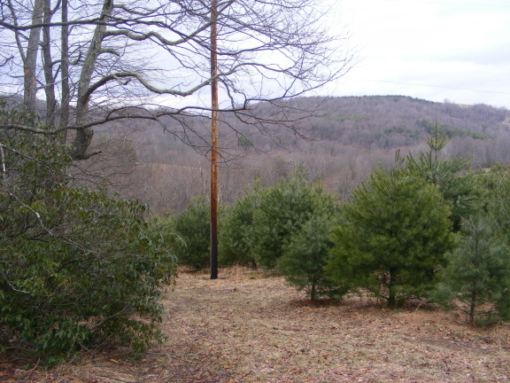 4 Black Ridge Road Southwest Floyd, VA 24091 - Photo 1 of 9 a view of a field with a tree in the background