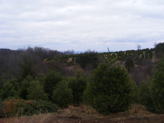 4 Black Ridge Road Southwest Floyd, VA 24091 - Photo 3 of 9 a view of a city and mountains