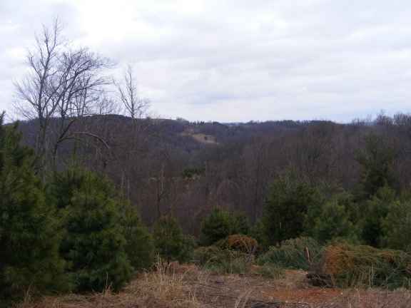 4 Black Ridge Road Southwest Floyd, VA 24091 - Photo 4 of 9 a view of a dry yard with mountains in the background