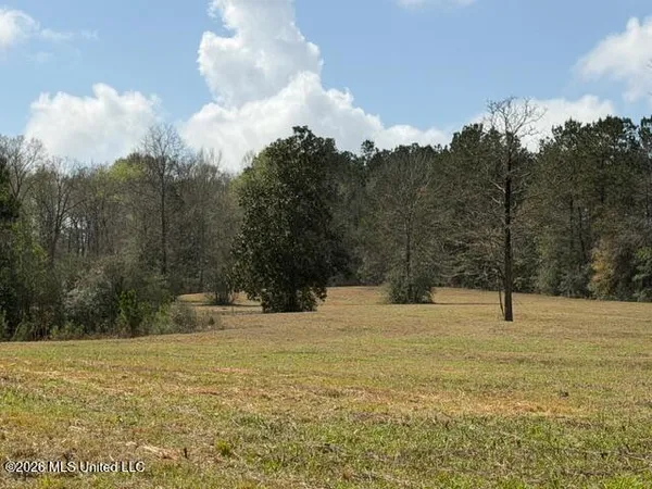 $288,000 | 26 W Highway, Poplarville, MS 39470