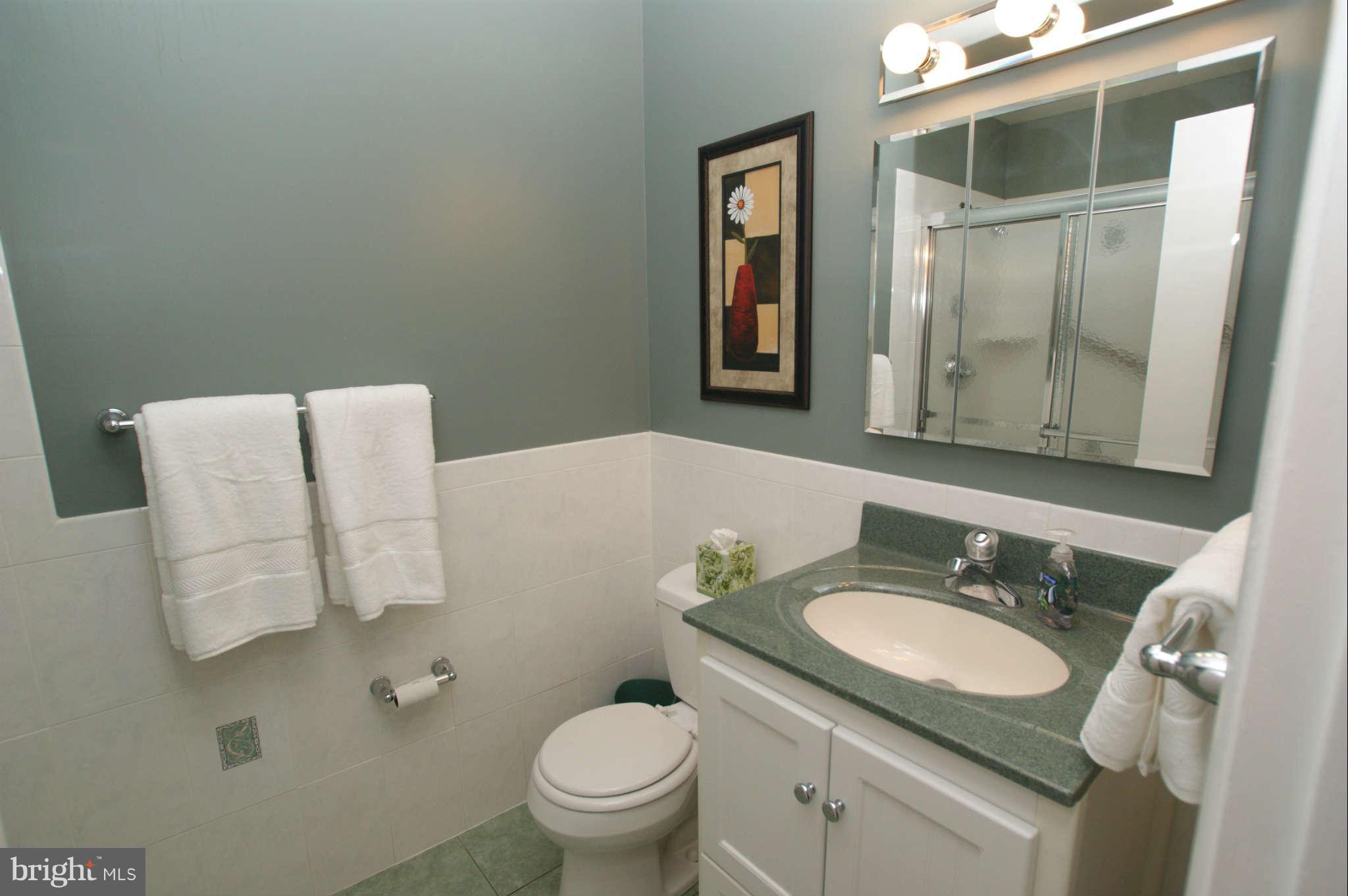 6940 Conservation Drive Springfield, VA 22153 - Photo 20 of 30 Bath (Master)