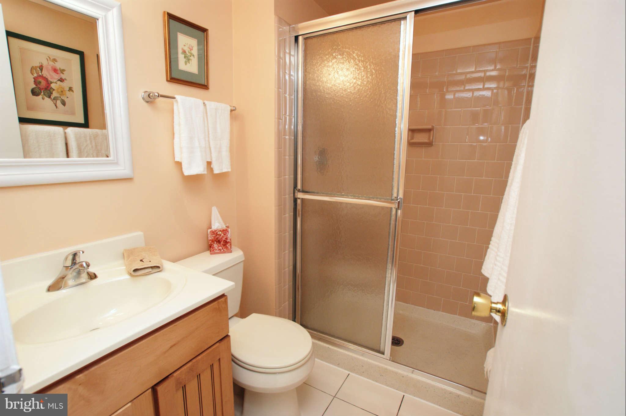 6940 Conservation Drive Springfield, VA 22153 - Photo 23 of 30 Bathroom 3