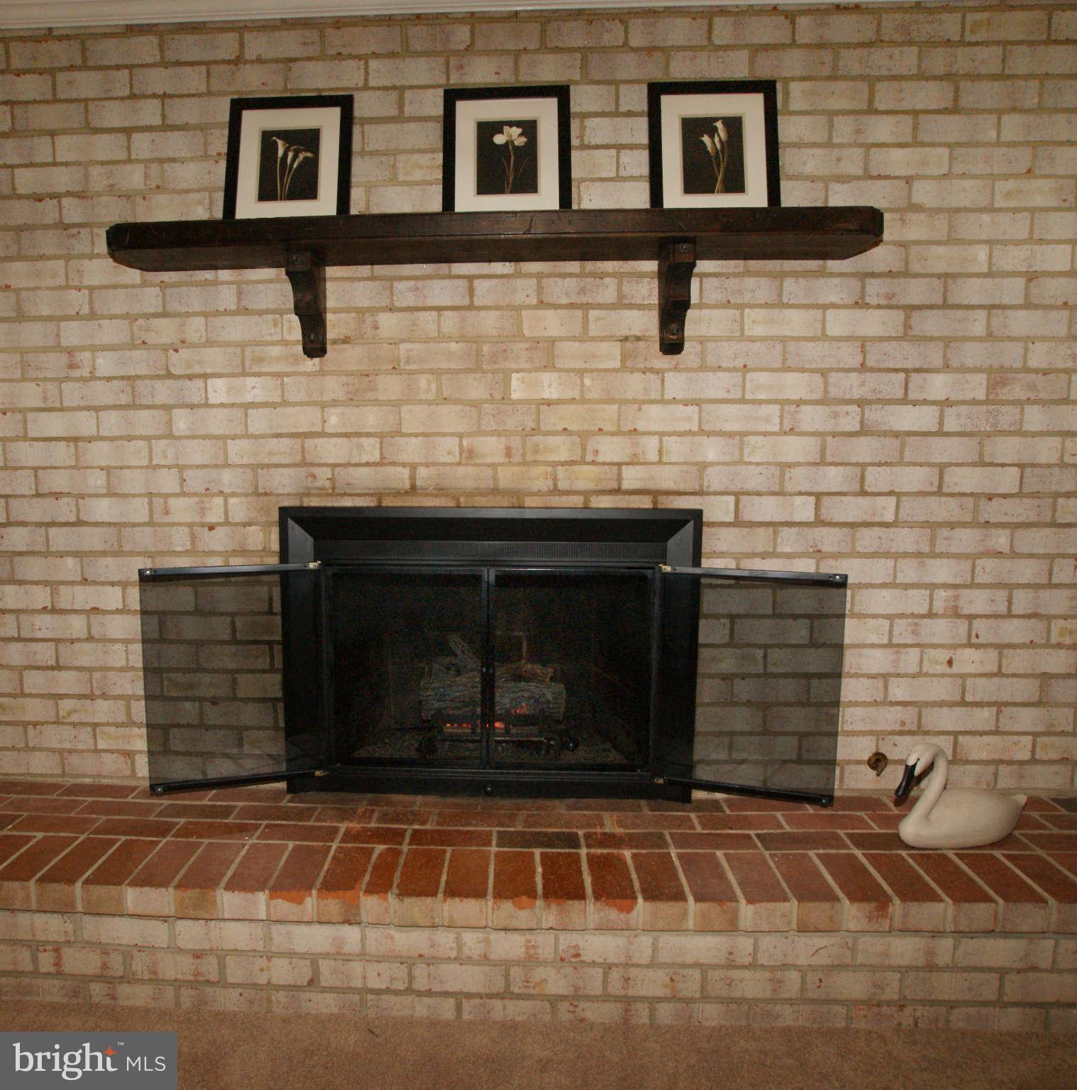 6940 Conservation Drive Springfield, VA 22153 - Photo 10 of 30 Family Room Fireplace