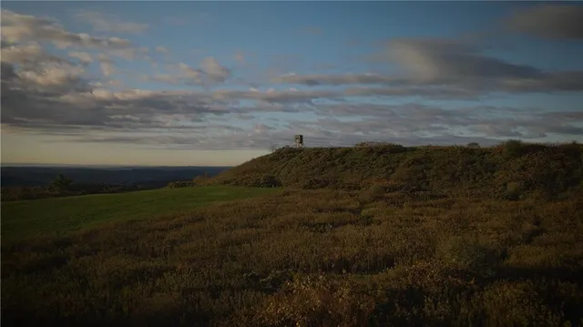 a view of a yard and mountain in the background
